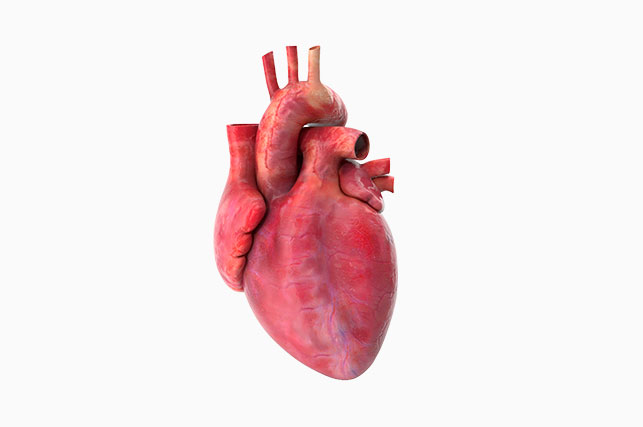 Medical and Dental Applications